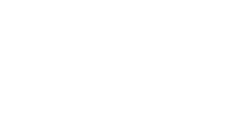 Fizyodinamik Logo